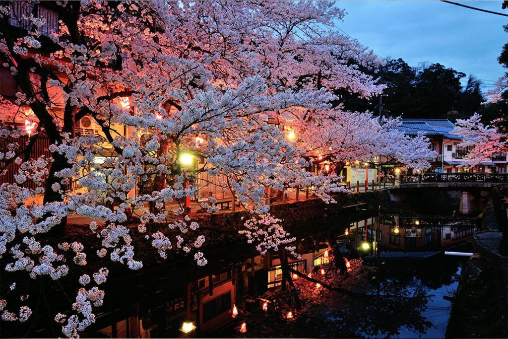 Oyado Seri Toyooka  Exterior photo
